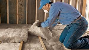 Best Attic Insulation Installation  in Oakdale, MN